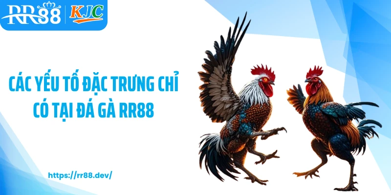 Các yếu tố đặc trưng chỉ có tại đá gà RR88